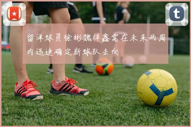 留洋球员徐彬魏祥鑫需在未来两周内迅速确定新球队去向
